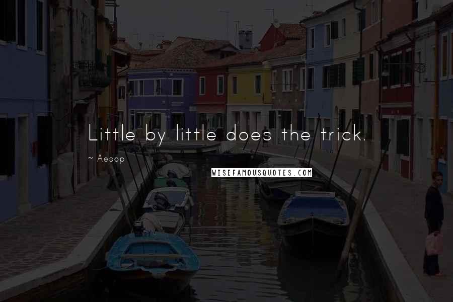 Aesop Quotes: Little by little does the trick.