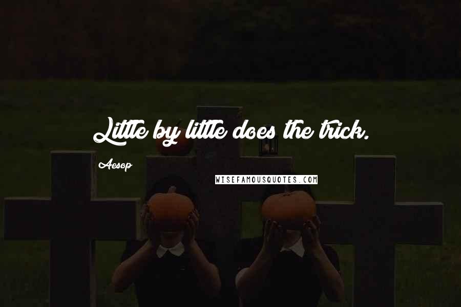 Aesop Quotes: Little by little does the trick.