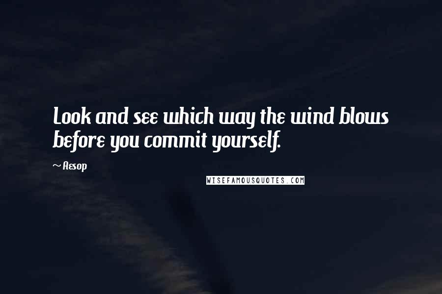 Aesop Quotes: Look and see which way the wind blows before you commit yourself.