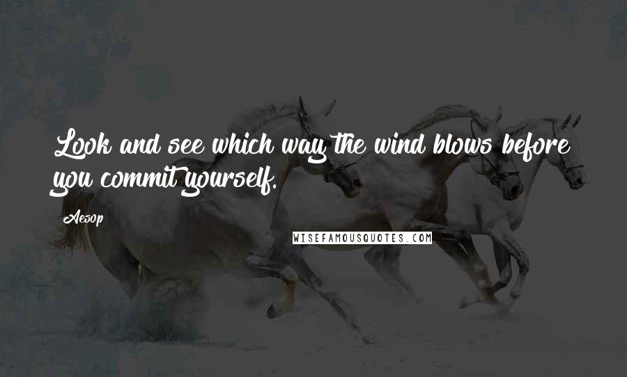 Aesop Quotes: Look and see which way the wind blows before you commit yourself.