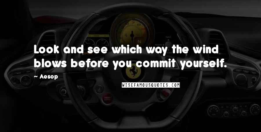 Aesop Quotes: Look and see which way the wind blows before you commit yourself.