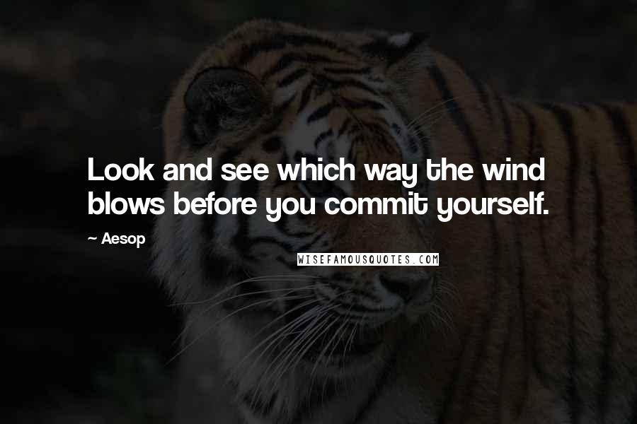 Aesop Quotes: Look and see which way the wind blows before you commit yourself.