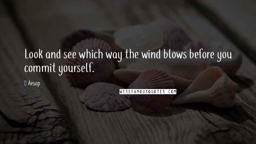 Aesop Quotes: Look and see which way the wind blows before you commit yourself.