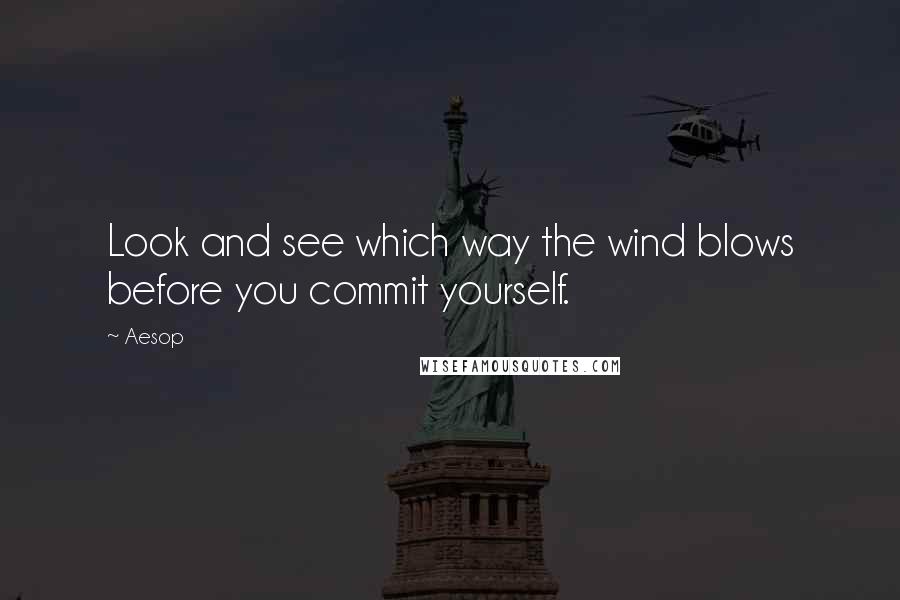 Aesop Quotes: Look and see which way the wind blows before you commit yourself.