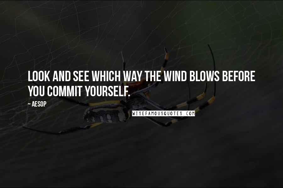 Aesop Quotes: Look and see which way the wind blows before you commit yourself.