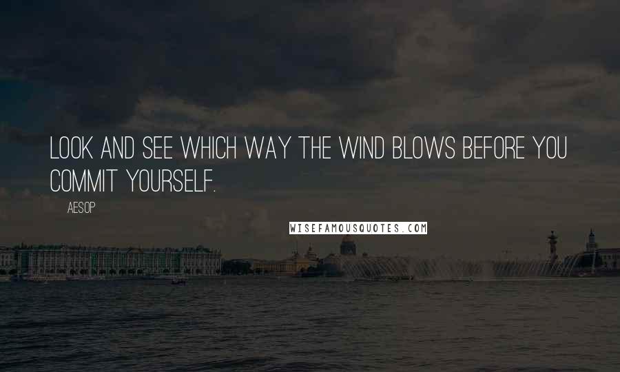 Aesop Quotes: Look and see which way the wind blows before you commit yourself.