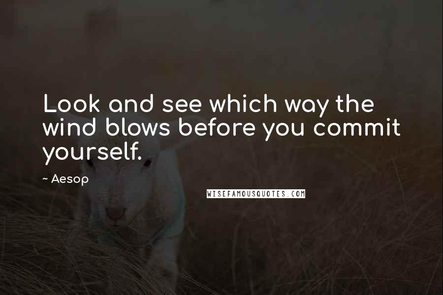 Aesop Quotes: Look and see which way the wind blows before you commit yourself.