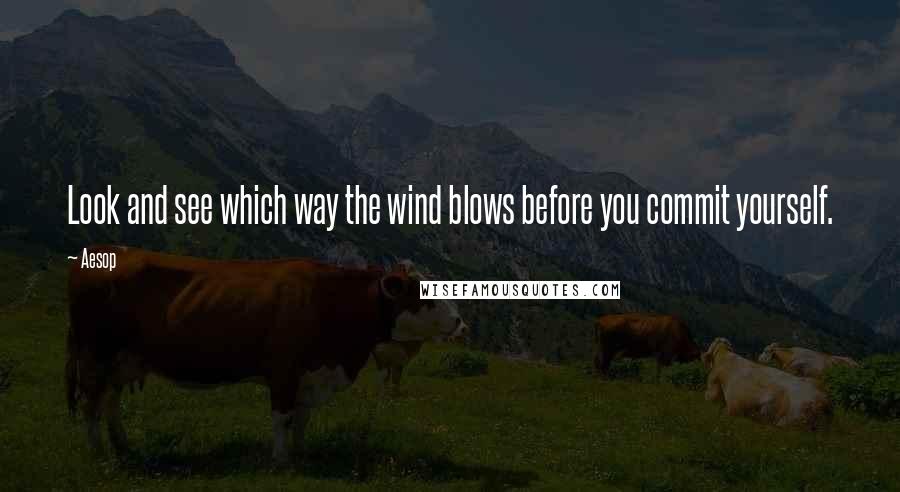 Aesop Quotes: Look and see which way the wind blows before you commit yourself.