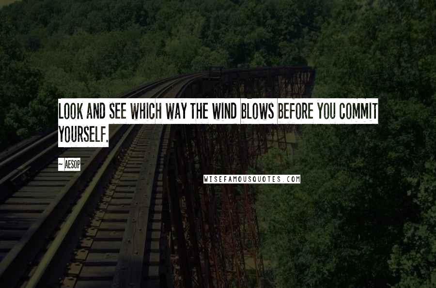 Aesop Quotes: Look and see which way the wind blows before you commit yourself.