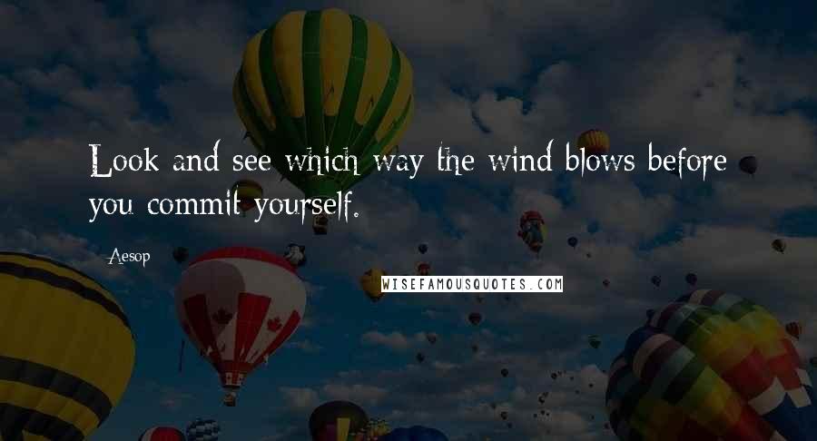 Aesop Quotes: Look and see which way the wind blows before you commit yourself.