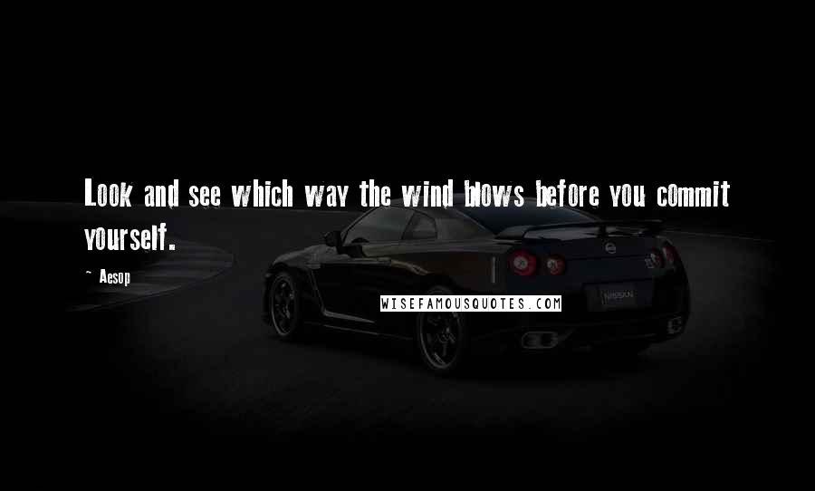 Aesop Quotes: Look and see which way the wind blows before you commit yourself.