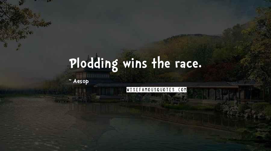 Aesop Quotes: Plodding wins the race.