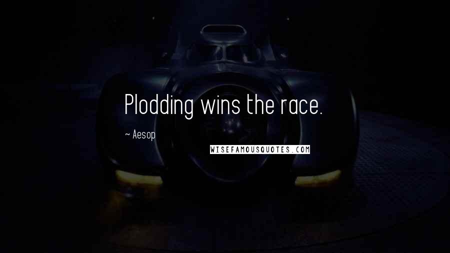 Aesop Quotes: Plodding wins the race.