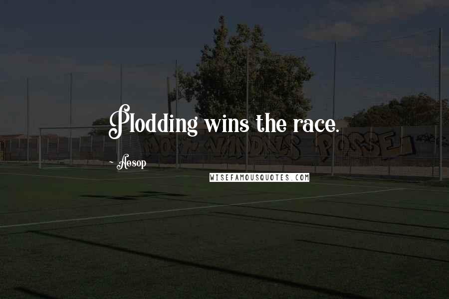 Aesop Quotes: Plodding wins the race.