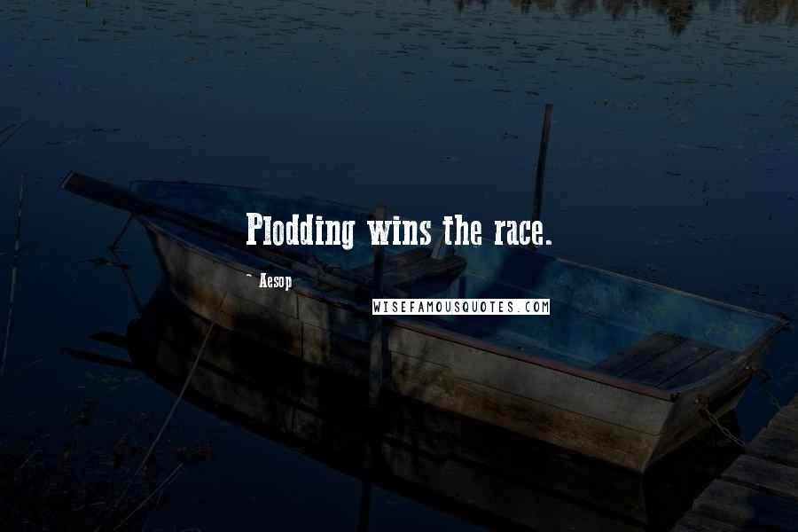 Aesop Quotes: Plodding wins the race.