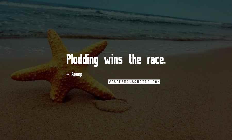 Aesop Quotes: Plodding wins the race.