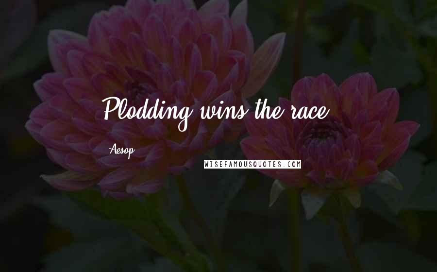 Aesop Quotes: Plodding wins the race.