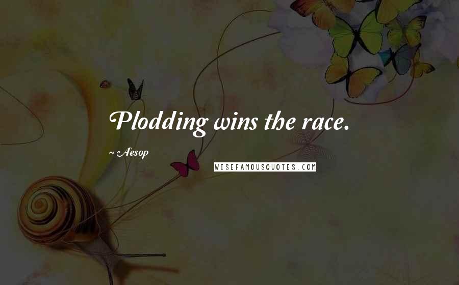 Aesop Quotes: Plodding wins the race.