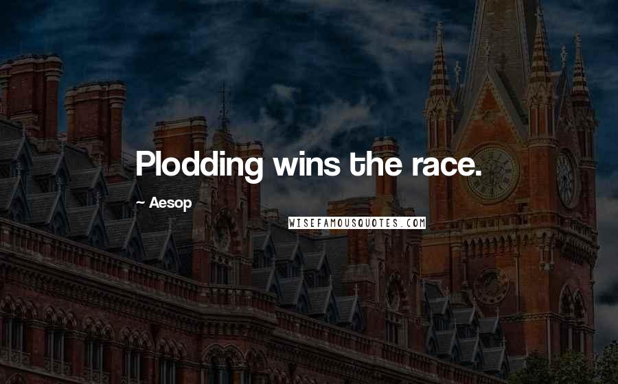 Aesop Quotes: Plodding wins the race.