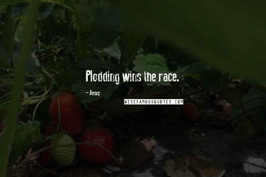 Aesop Quotes: Plodding wins the race.