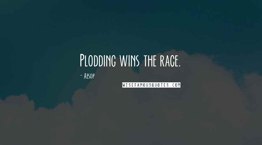 Aesop Quotes: Plodding wins the race.