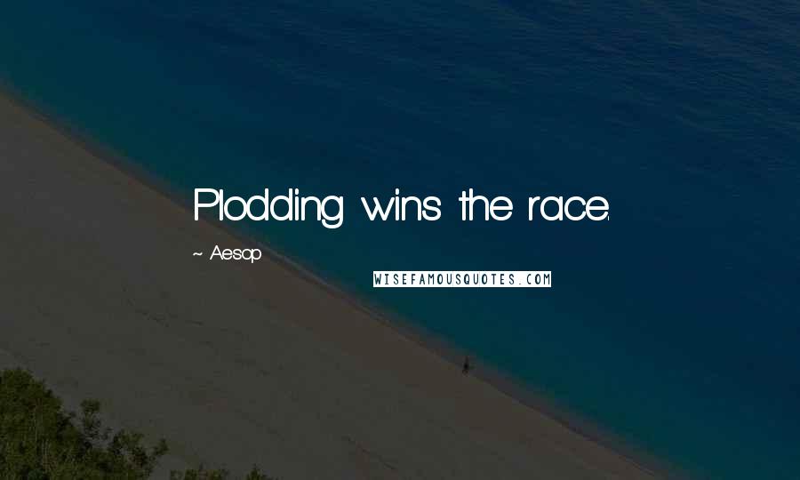 Aesop Quotes: Plodding wins the race.