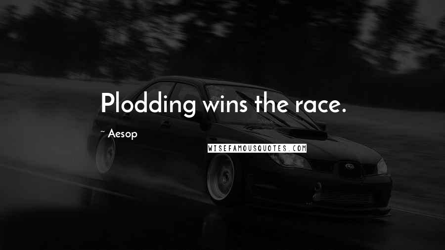 Aesop Quotes: Plodding wins the race.