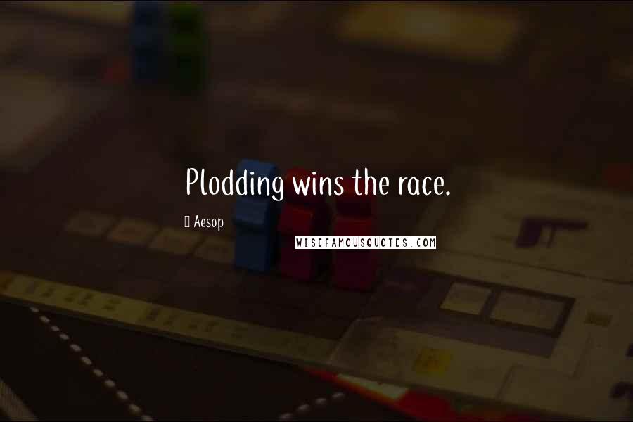 Aesop Quotes: Plodding wins the race.