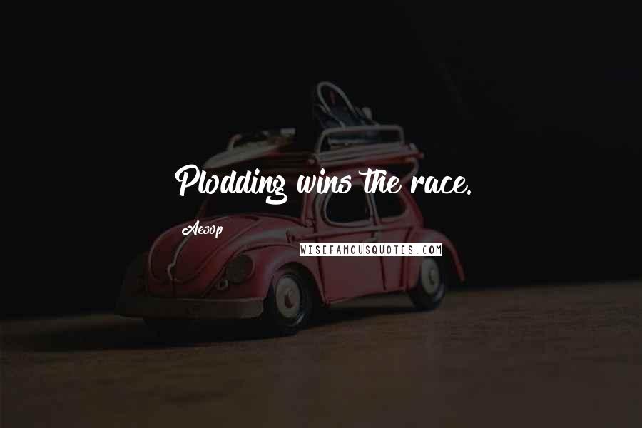 Aesop Quotes: Plodding wins the race.