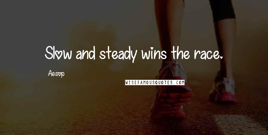 Aesop Quotes: Slow and steady wins the race.