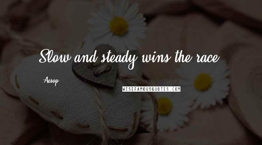 Aesop Quotes: Slow and steady wins the race.