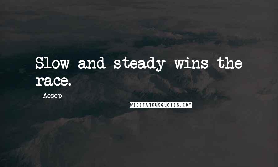 Aesop Quotes: Slow and steady wins the race.