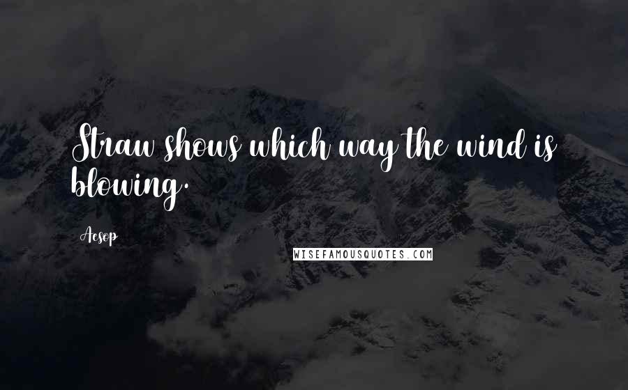 Aesop Quotes: Straw shows which way the wind is blowing.