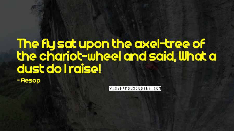 Aesop Quotes: The fly sat upon the axel-tree of the chariot-wheel and said, What a dust do I raise!