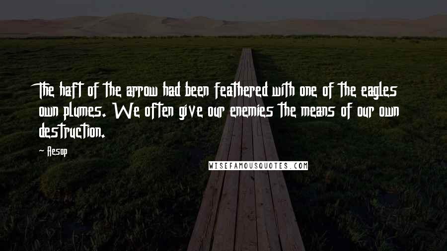 Aesop Quotes: The haft of the arrow had been feathered with one of the eagles own plumes. We often give our enemies the means of our own destruction.