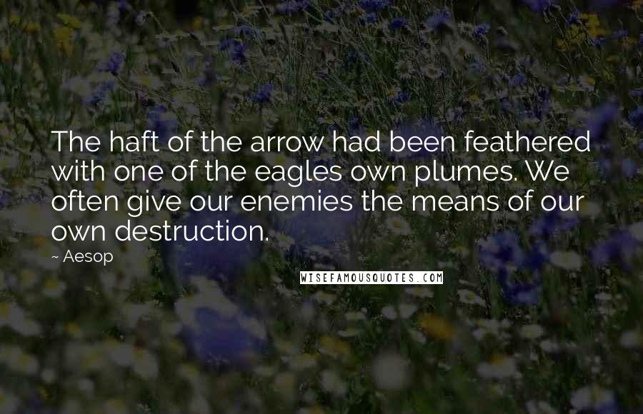 Aesop Quotes: The haft of the arrow had been feathered with one of the eagles own plumes. We often give our enemies the means of our own destruction.
