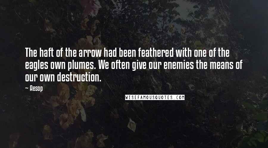 Aesop Quotes: The haft of the arrow had been feathered with one of the eagles own plumes. We often give our enemies the means of our own destruction.