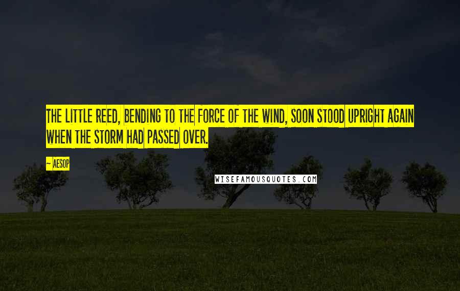 Aesop Quotes: The little reed, bending to the force of the wind, soon stood upright again when the storm had passed over.