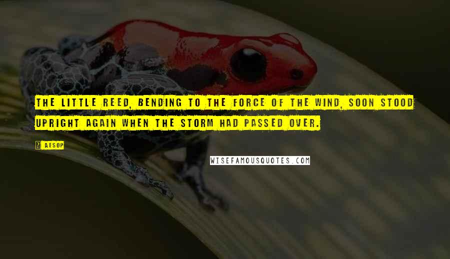 Aesop Quotes: The little reed, bending to the force of the wind, soon stood upright again when the storm had passed over.