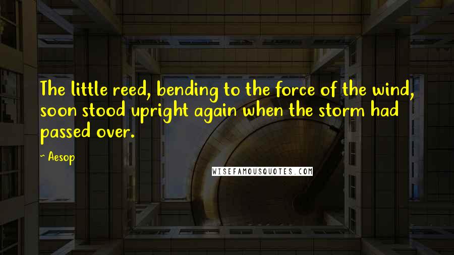 Aesop Quotes: The little reed, bending to the force of the wind, soon stood upright again when the storm had passed over.