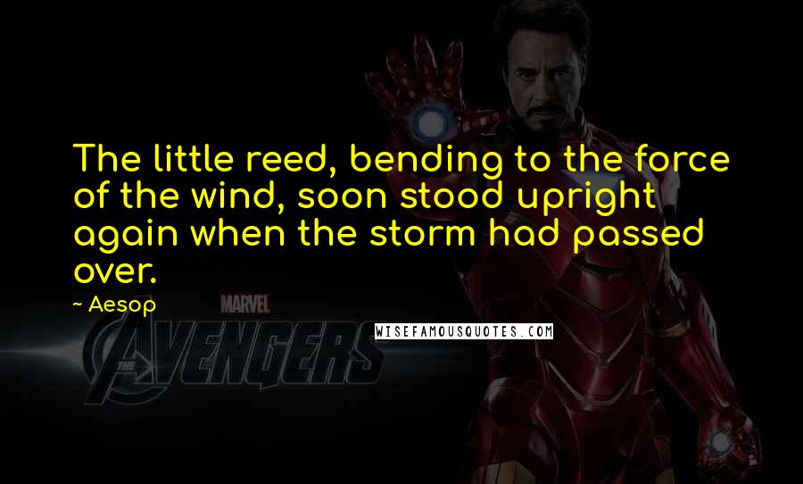 Aesop Quotes: The little reed, bending to the force of the wind, soon stood upright again when the storm had passed over.