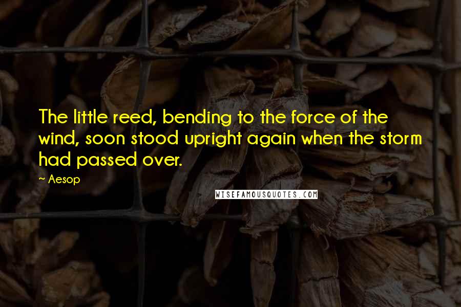 Aesop Quotes: The little reed, bending to the force of the wind, soon stood upright again when the storm had passed over.