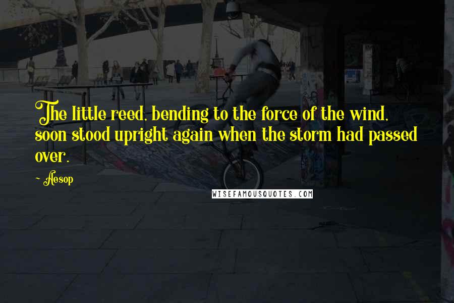 Aesop Quotes: The little reed, bending to the force of the wind, soon stood upright again when the storm had passed over.