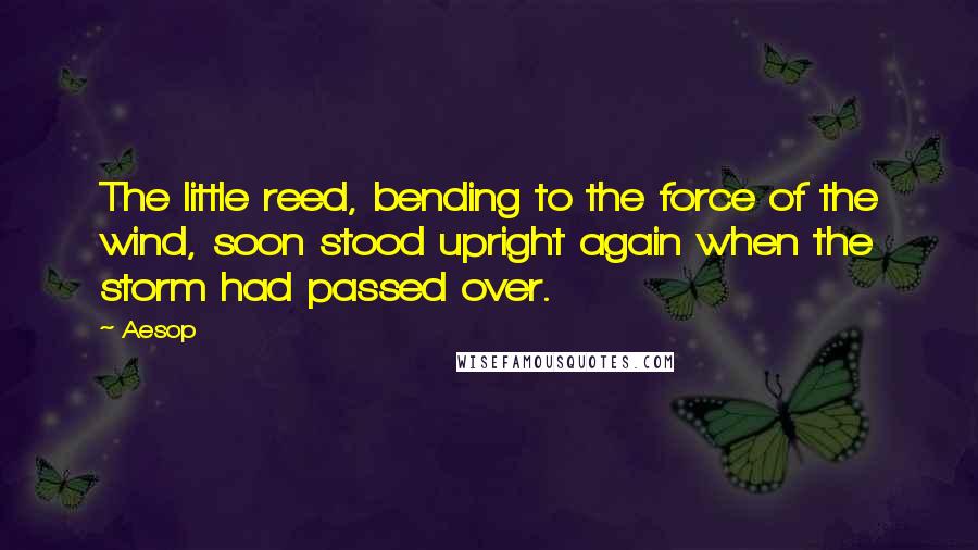 Aesop Quotes: The little reed, bending to the force of the wind, soon stood upright again when the storm had passed over.