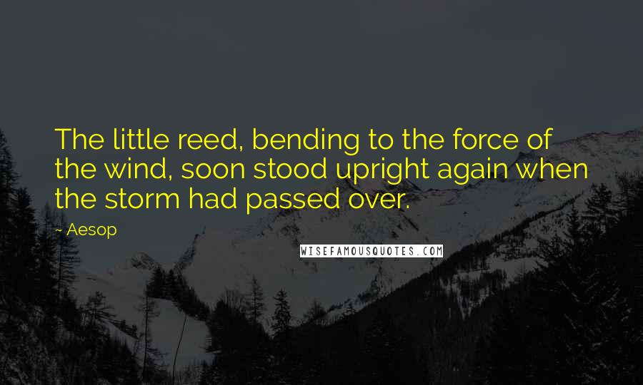 Aesop Quotes: The little reed, bending to the force of the wind, soon stood upright again when the storm had passed over.