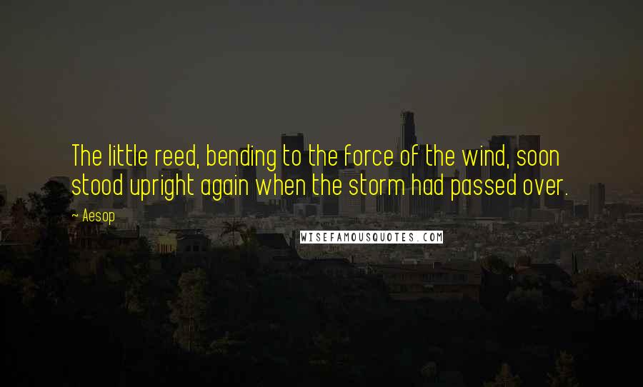 Aesop Quotes: The little reed, bending to the force of the wind, soon stood upright again when the storm had passed over.