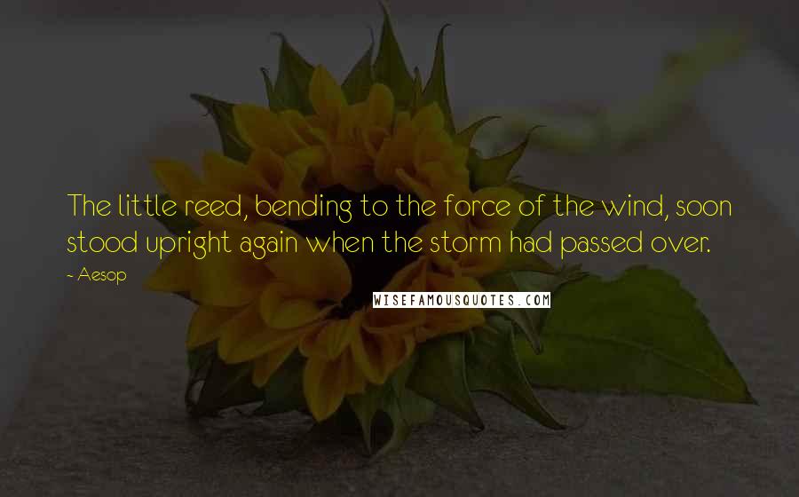 Aesop Quotes: The little reed, bending to the force of the wind, soon stood upright again when the storm had passed over.