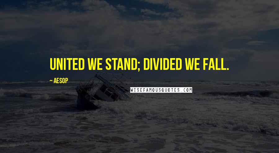 Aesop Quotes: United we stand; divided we fall.