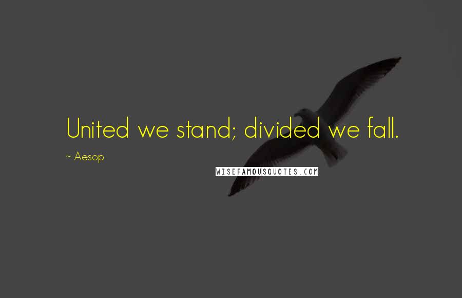 Aesop Quotes: United we stand; divided we fall.