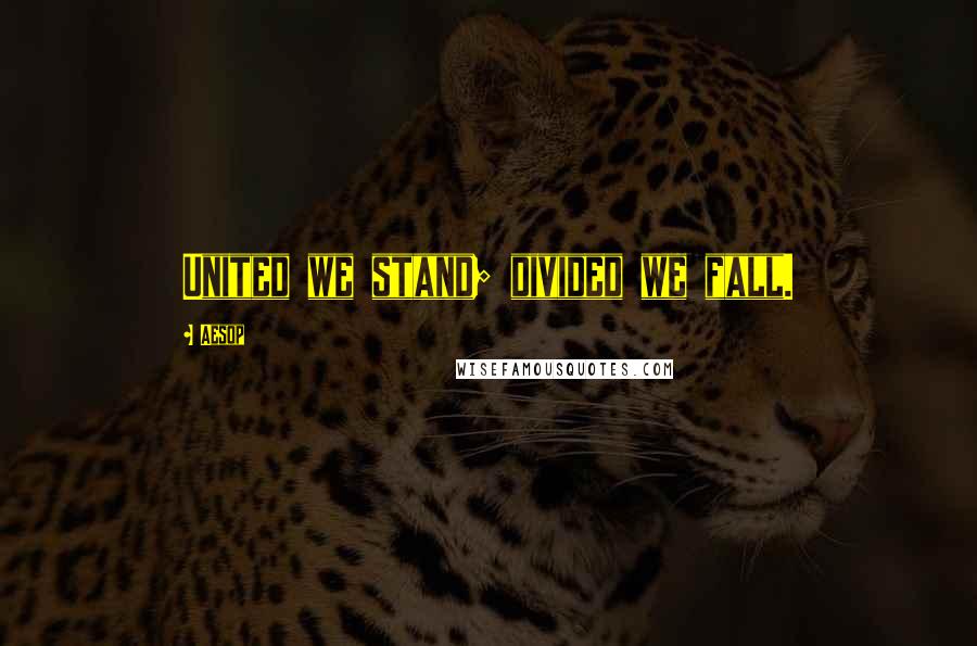 Aesop Quotes: United we stand; divided we fall.
